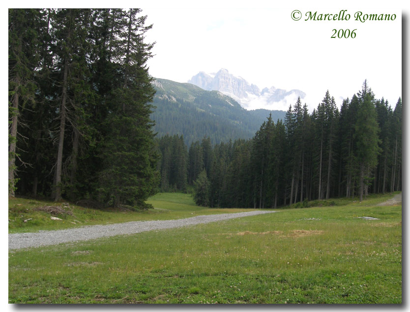 Insetti del Parco Adamello Brenta (TN): immagini e appunti